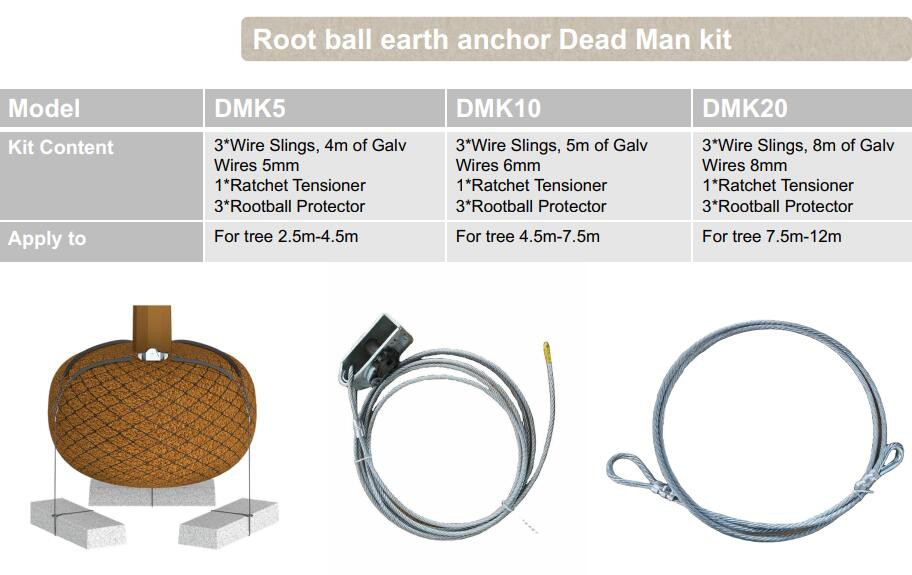 DM RT0 product-912-575